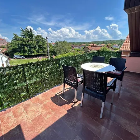 Apartment Milena Brtonigla Exterior photo